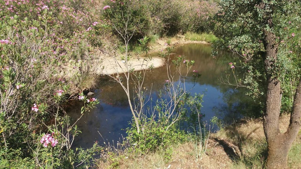 Agroturismo Flores Do Campo Βίλα Vila Verde de Ficalho Εξωτερικό φωτογραφία